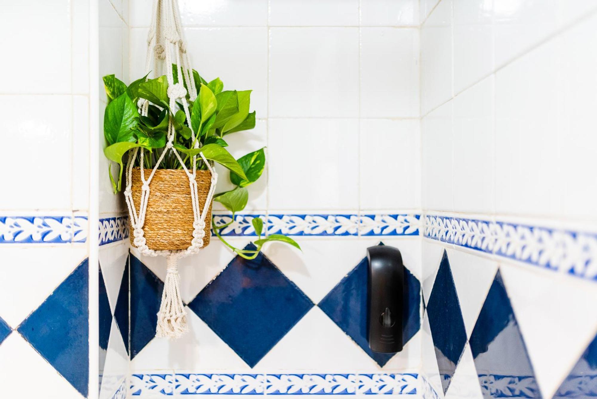 Apartamento Las Mil Y Una Noches กรานาดา ภายนอก รูปภาพ